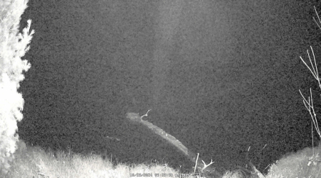 Image from 2024-10-28