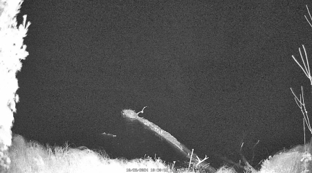 Image from 2024-10-28