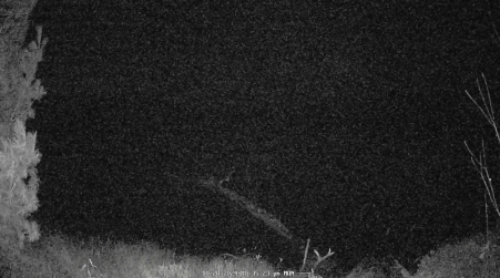 Image from 2024-10-28