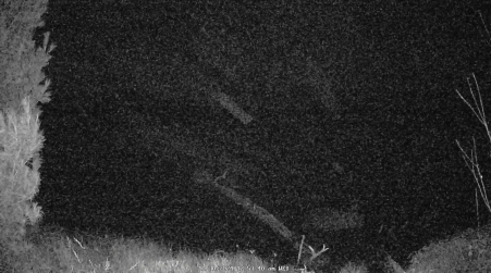 Image from 2024-10-30