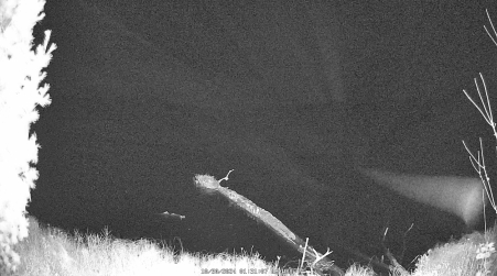 Image from 2024-10-30