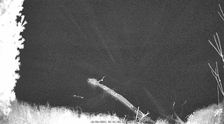 Image from 2024-10-30