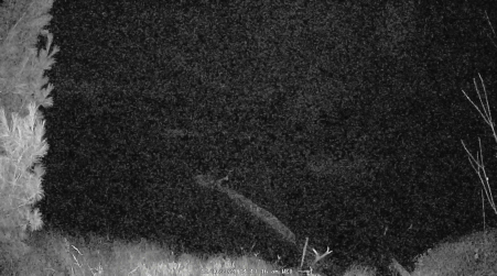 Image from 2024-10-30