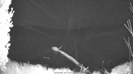 Image from 2024-10-30
