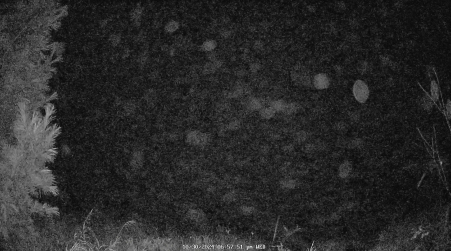 Image from 2024-10-30