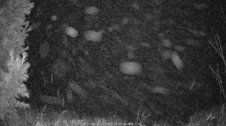 Image from 2024-10-30