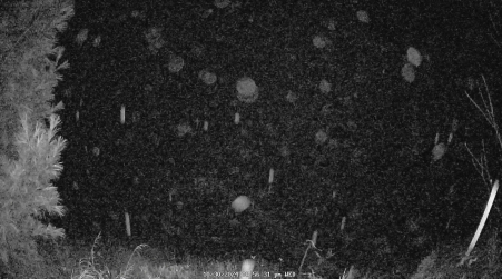Image from 2024-10-30