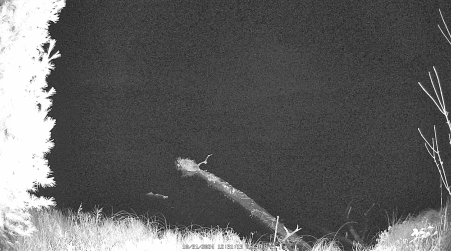 Image from 2024-10-31