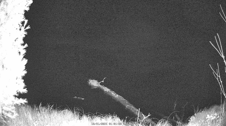 Image from 2024-10-31