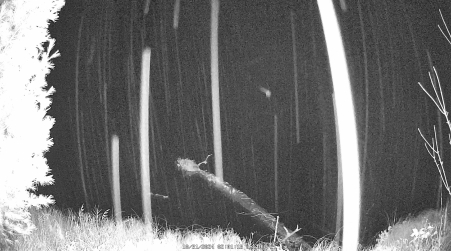 Image from 2024-10-31