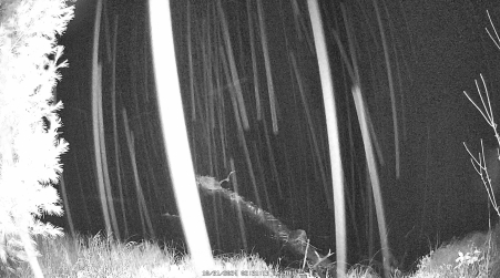 Image from 2024-10-31