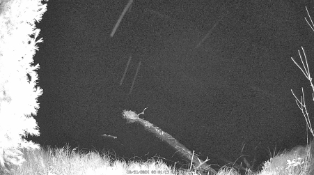 Image from 2024-10-31