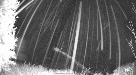 Image from 2024-10-31