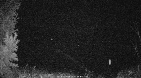 Image from 2024-10-31