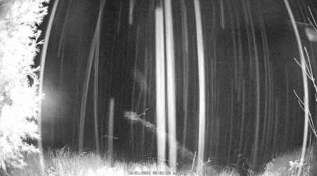 Image from 2024-10-31