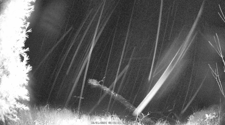 Image from 2024-10-31