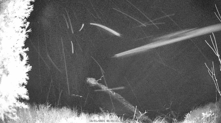 Image from 2024-10-31