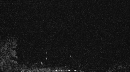 Image from 2024-10-31