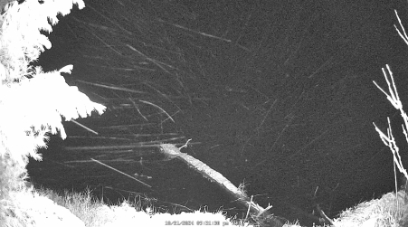 Image from 2024-10-31