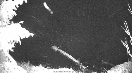 Image from 2024-10-31
