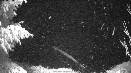 Image from 2024-10-31