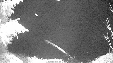 Image from 2024-11-01