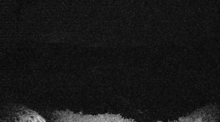 Image from 2024-11-01