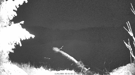 Image from 2024-11-01
