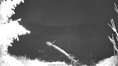 Image from 2024-11-01