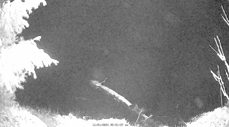 Image from 2024-11-01