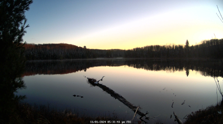 Image from 2024-11-01