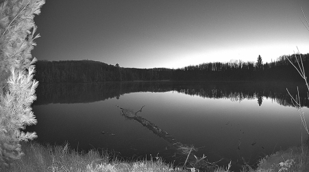 Image from 2024-11-01