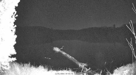 Image from 2024-11-01