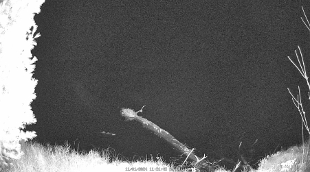 Image from 2024-11-01