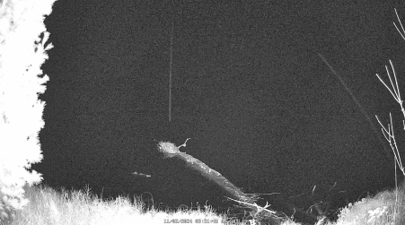 Image from 2024-11-02