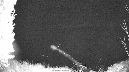 Image from 2024-11-02