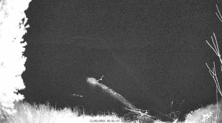 Image from 2024-11-02