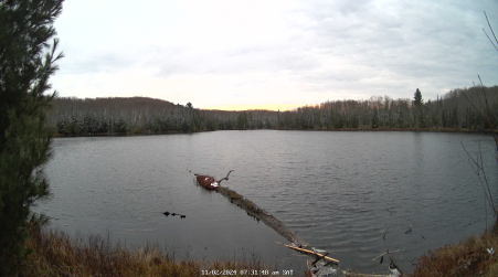 Image from 2024-11-02