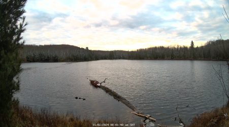 Image from 2024-11-02