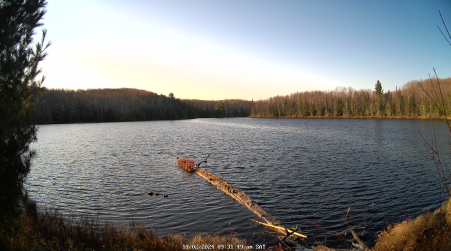 Image from 2024-11-02