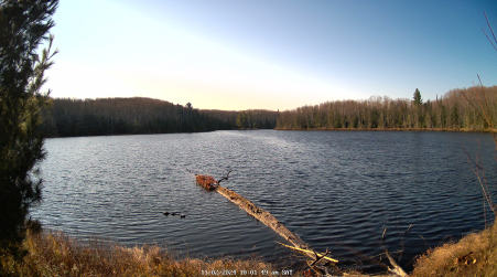 Image from 2024-11-02