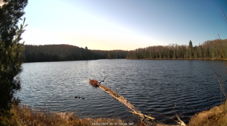 Image from 2024-11-02