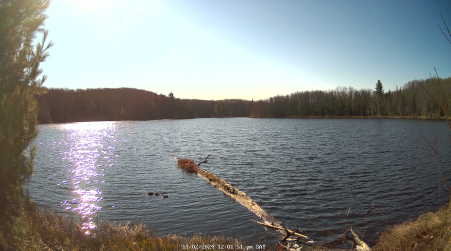 Image from 2024-11-02