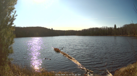 Image from 2024-11-02