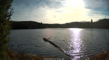 Image from 2024-11-02