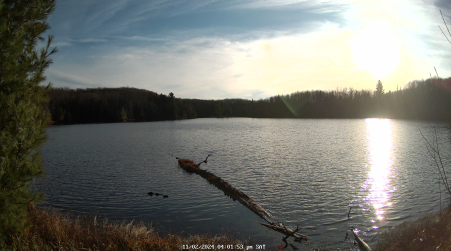 Image from 2024-11-02