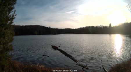 Image from 2024-11-02
