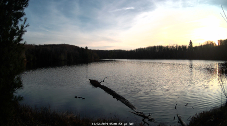 Image from 2024-11-02