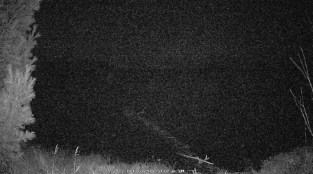 Image from 2024-11-03