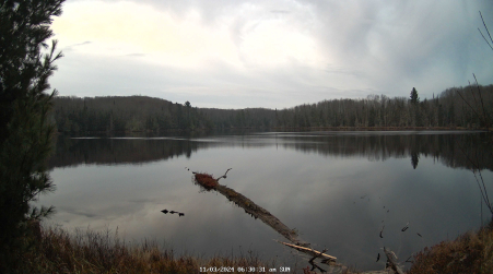 Image from 2024-11-03